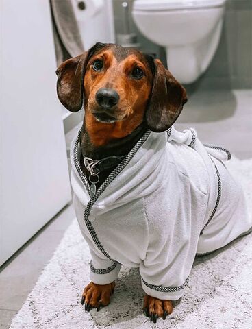 Ollipet badekåbe | Str. L