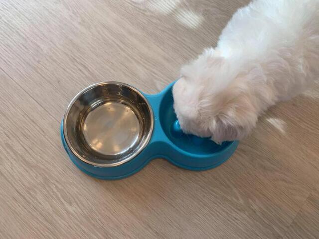 Bambus slowfeeder skålsæt