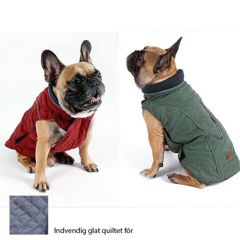 Vinterdækken DogLemi