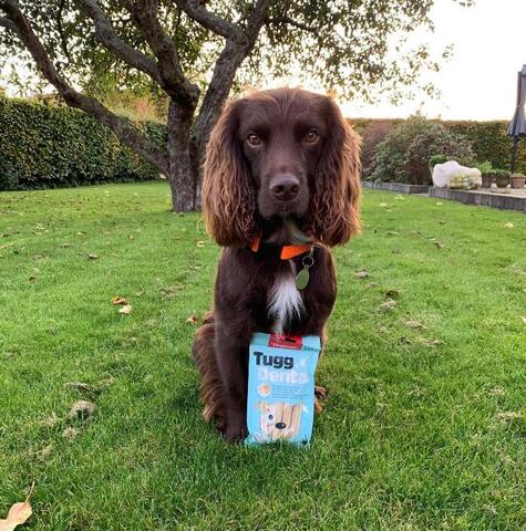 Tugg Dental Tyggeben