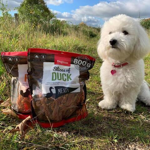 Mega pack meaty 800g