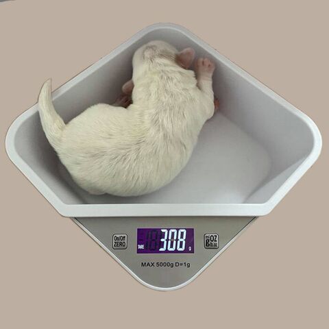 Digital Hvalpevægt til små racer. Vejer op til 5000g