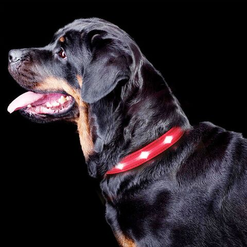 The Dots Collar | Halsbånd med 5-7 kraftige LEDs | Rød