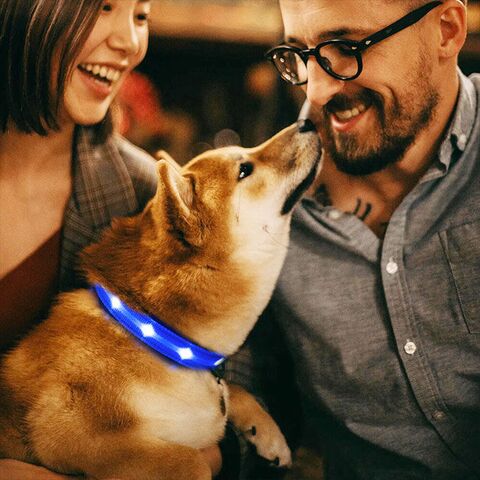 The Dots Collar | Halsbånd med 5-7 kraftige LEDs | Blå