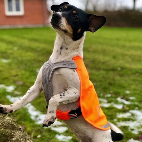 Refleksvest str. S| Truelove