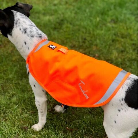 Refleksvest str. S| Truelove