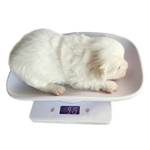 Hvalpevægt - 3 uger