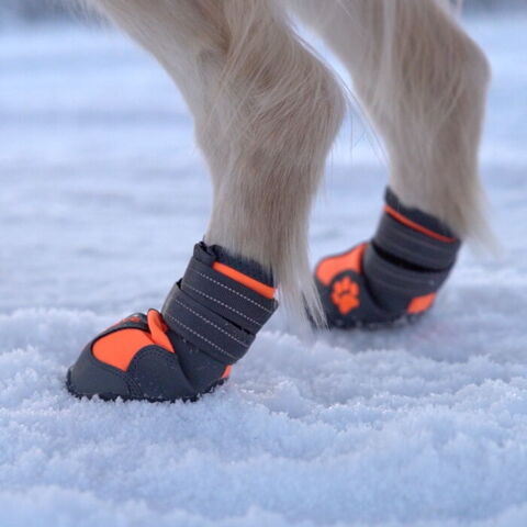 Hundesko |Truelove har en god pasform