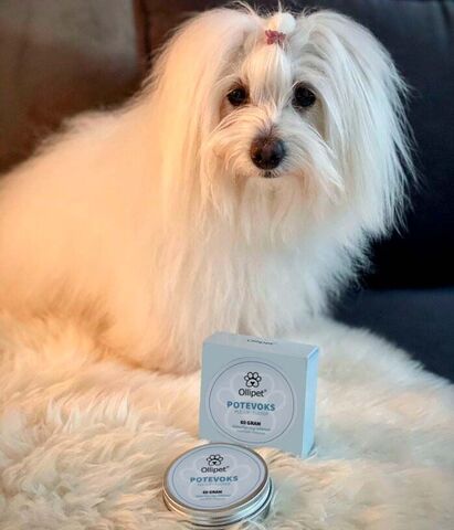 Ollipet Økologisk Potevoks | 60g