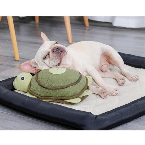 Aktivitets-skildpadde | Som puttebamse