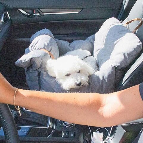 Ollipet Autokurv 2i1