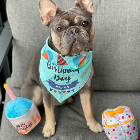 Fødselsdagsgave i plys