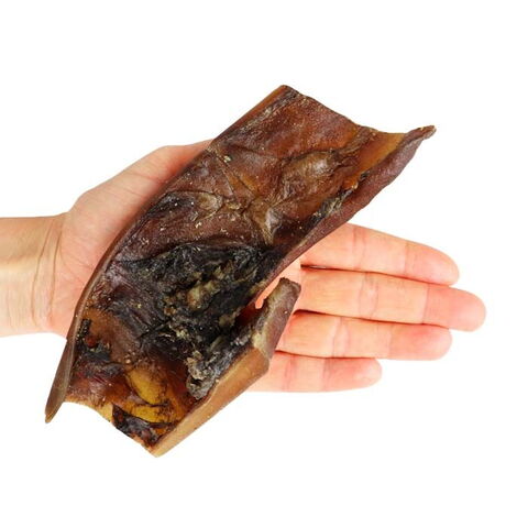 Ollipet Kamelgumlere | godbidder | Ollipet