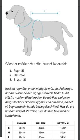 Regnjakke med bamsemotiv