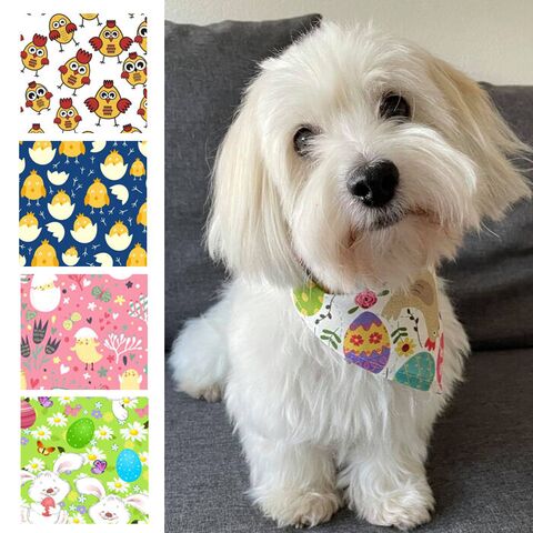 Ollipet Påske Bandana