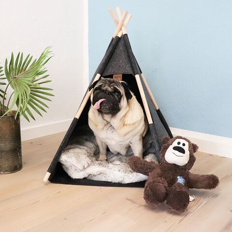 Tipi Hyggehule