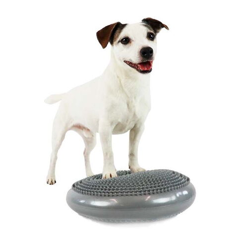 Balancepude til hundefitness