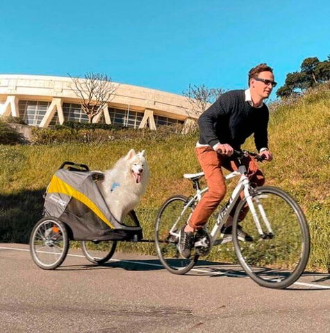 Innopet Hercules 2.0 hundetrailer