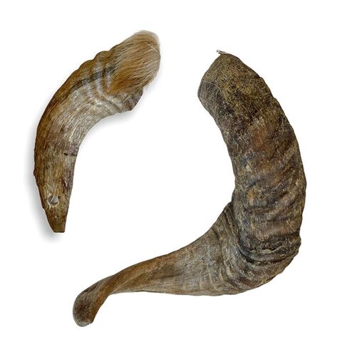 Lammehorn | 2 størrelser