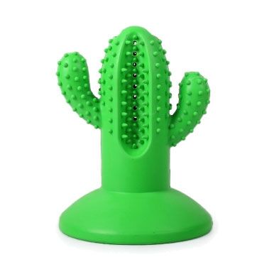 Puppy Dental Cactus | Store racer