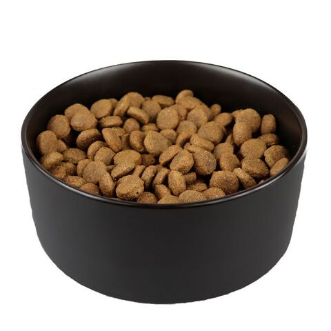 Ollipet Cooper keramikskål