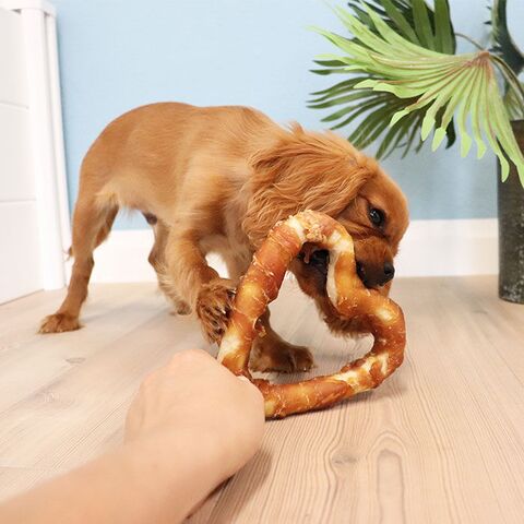 George og Denta Fun Chicken Heart