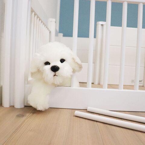 Kravlegård til Ollipet fødekasse