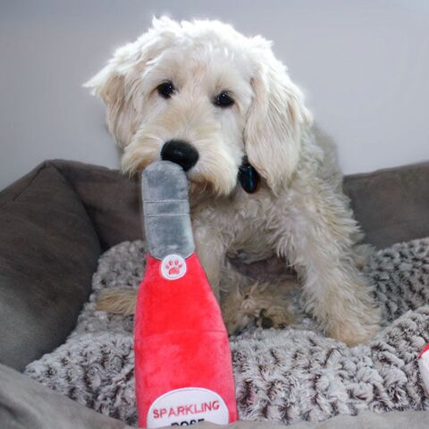 Rose Sparkling plysflaske