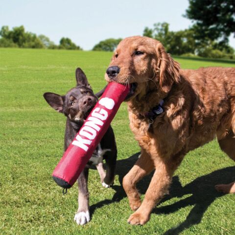 KONG Signatur Stick 3 størrelser