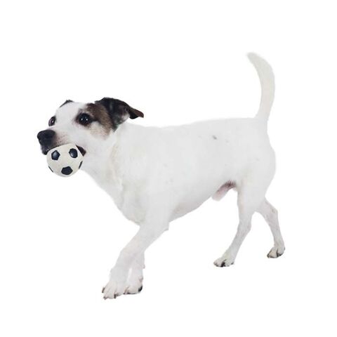 Ollipet natur latex fodbold I Anton leger med en størrelse small