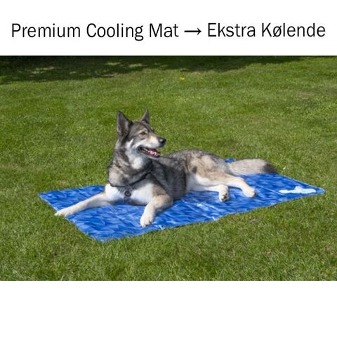 Premium Cooling Mat | Ekstra Kølende