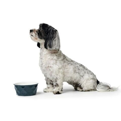 Hunter Eiby keramik hundeskål