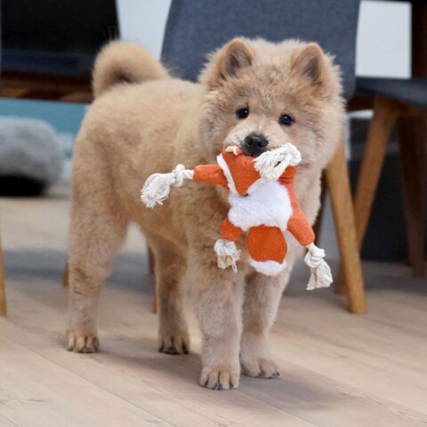 Knudedyr med reb | Ræv og Carla