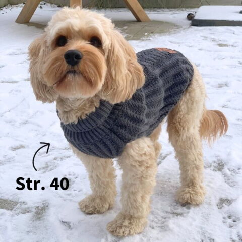 Ollipet Cozy Winter Sweater