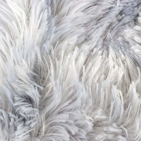 Slaskede pelsdyr I Vaskebjørn