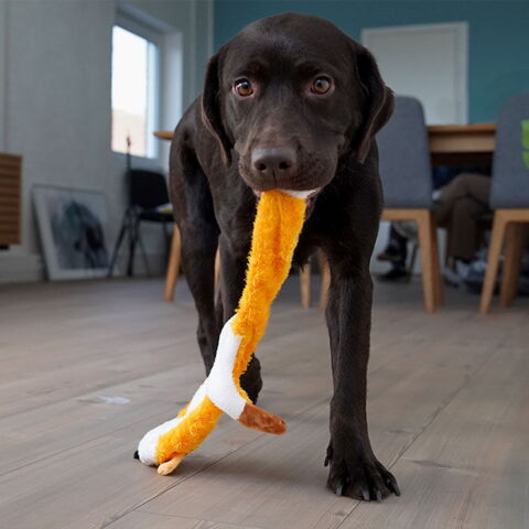 Slaskede pelsdyr I Ræv & Karla