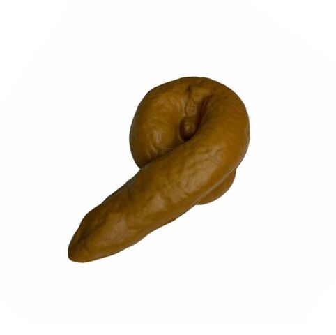 Prank Poop