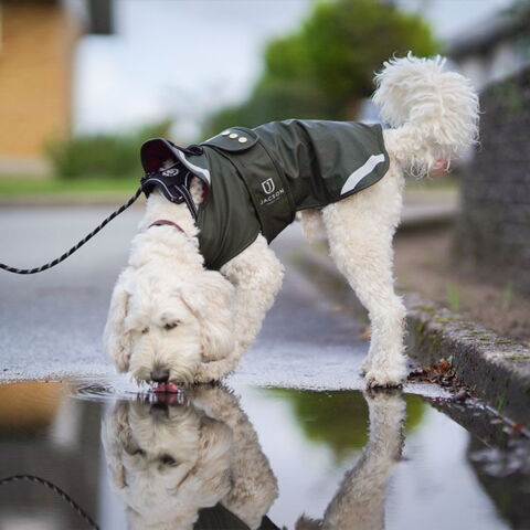 Jacson Regndækken | Futte