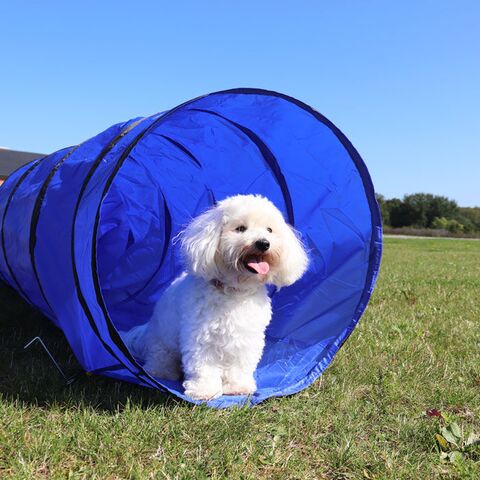 Ollipet Agility Tunnel I Sally i størrelse medium I 60x500cm