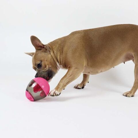 Aktivitetsæg I pink