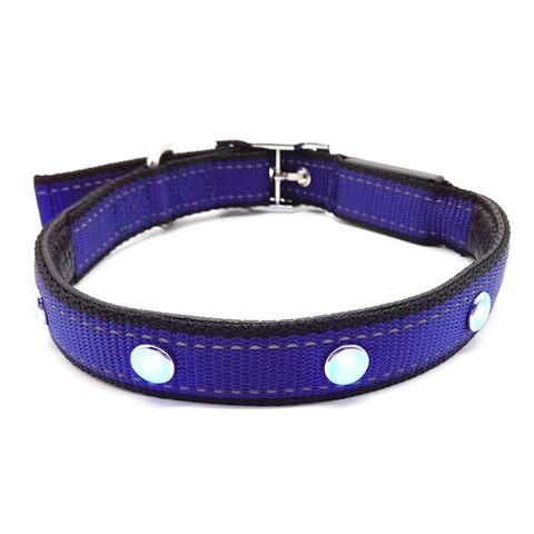 SOLID LED-halsbånd | Tize I Royal Blue