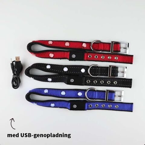 SOLID LED-halsbånd | Tize I med genopladelig USB