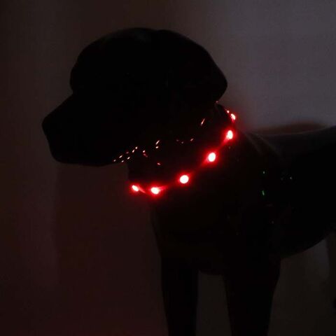 SOLID LED-halsbånd | Tize I Rød Classic