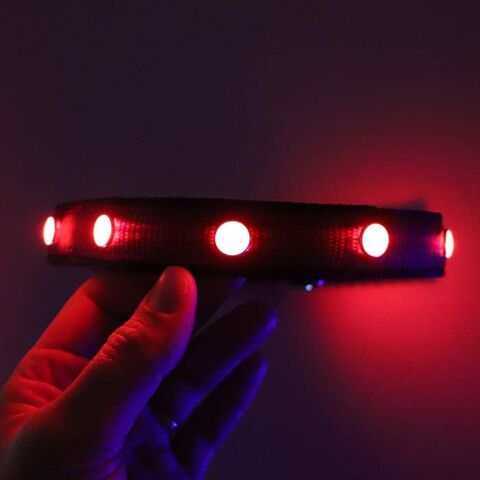 SOLID LED-halsbånd | Tize