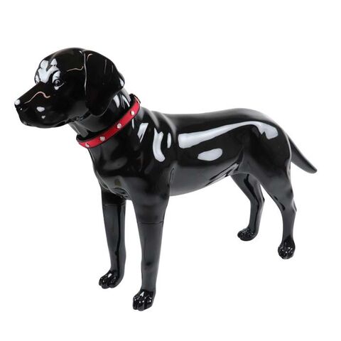 SOLID LED-halsbånd | Tize I Rød Classic