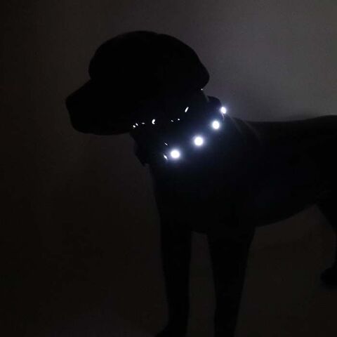 SOLID LED-halsbånd | Tize I Sort Extreme