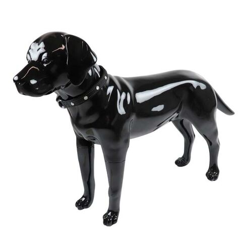 SOLID LED-halsbånd | Tize I Sort Extreme