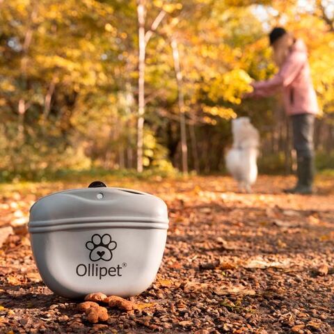 Ollipet Goodiebag Silikone