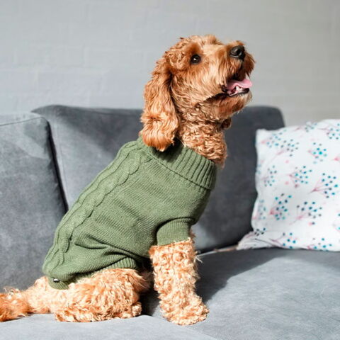 Dogman Gina Sweater og Leo