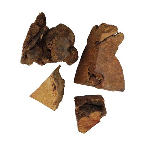 NATURBEN | Tyggerod I 2 størrelser